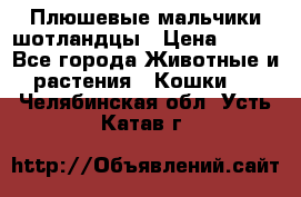 Плюшевые мальчики шотландцы › Цена ­ 500 - Все города Животные и растения » Кошки   . Челябинская обл.,Усть-Катав г.